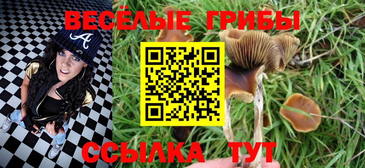 Новочебоксарск  Псилоцибиновые грибы GOLDEN TEACHER  Вход с VPN 